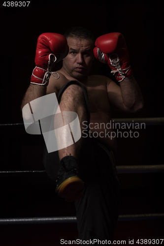 Image of professional kickboxer in the training ring