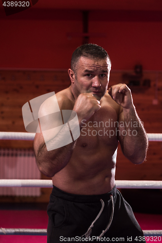 Image of professional kickboxer in the training ring