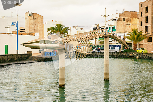 Image of Rorcual Tropical bones in the laguna "Charco de San Gines" at Ar