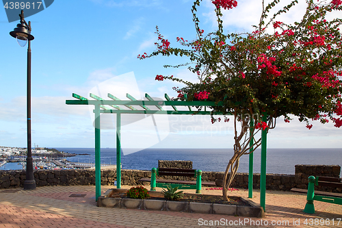 Image of View point of Puerto del Carmen, Lanzarote Island