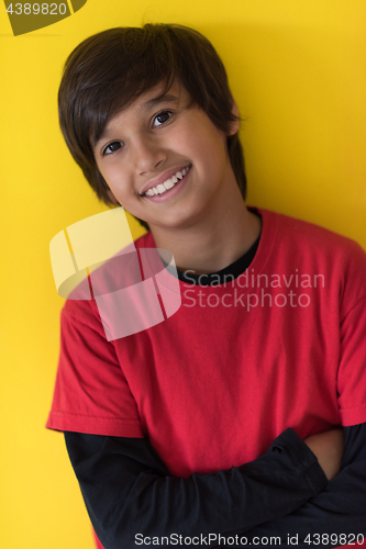 Image of Portrait of a happy young boy
