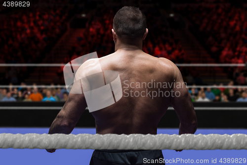 Image of professional kickboxer in the training ring