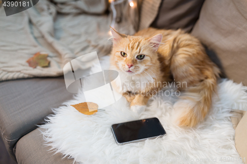 Image of red cat lying on sofa with smartphone at home