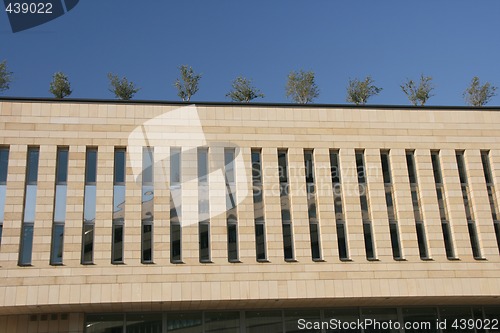 Image of trees on the roof