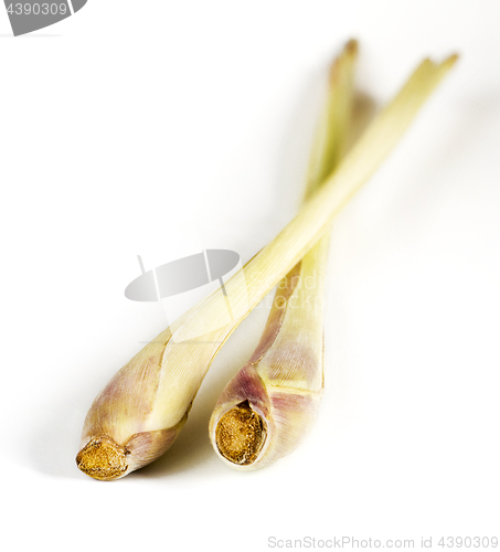 Image of Two pieces of lemon grass