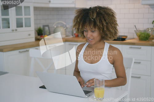 Image of Charming model using laptop in kitchen