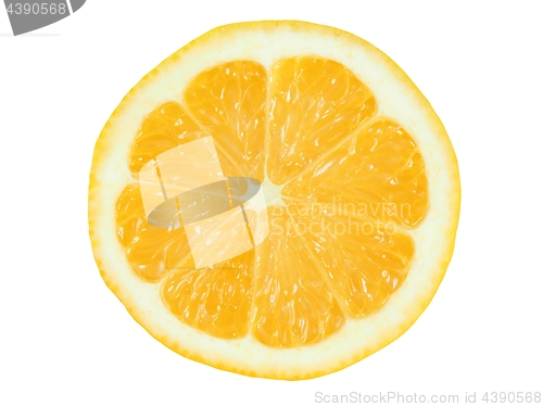 Image of Lemon slice on white