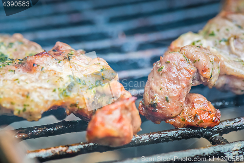 Image of Fresh grilled meat. Grilled beef steak