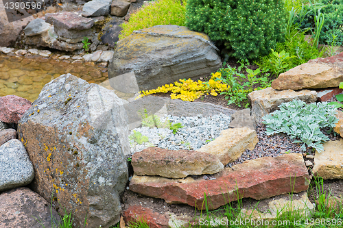 Image of Modern garden design