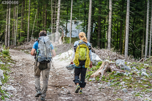 Image of Rear view of two young active couple walking down the trail path on forest.