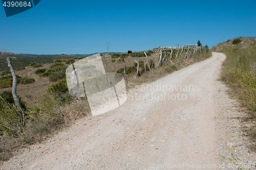 Image of Up road in countryside