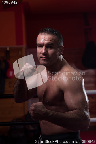 Image of professional kickboxer in the training ring