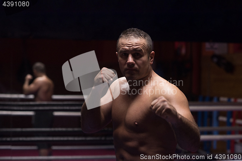 Image of professional kickboxer in the training ring