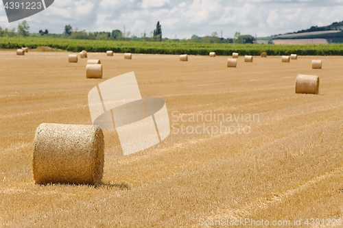 Image of Agricultural field with bales