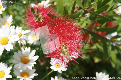 Image of spring colors