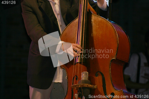 Image of bass player 2