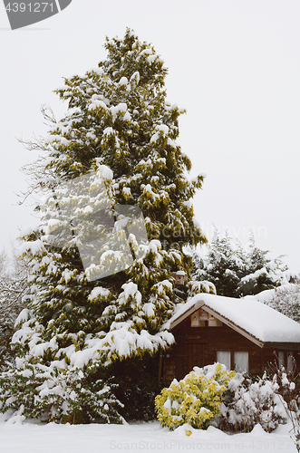 Image of Tranquil snowy scene of a wooden hut covered in snow