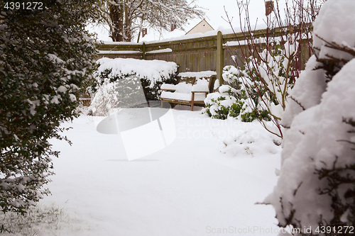 Image of Shrubs and bench in country garden covered with snow