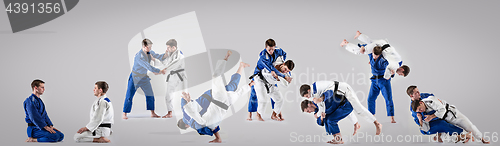 Image of The two judokas fighters fighting men