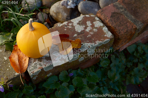 Image of Autumn leaves and orange gourd on weathered brick wall