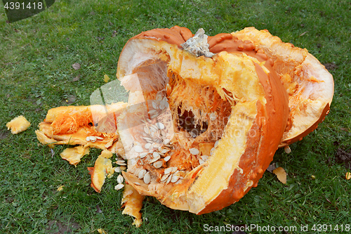 Image of Roughly broken pumpkin pieces