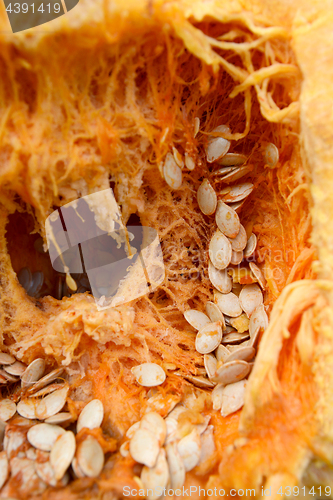 Image of Inside of a pumpkin with stringy flesh and seeds