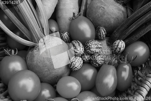 Image of Tomatoes, rainbow beetroot, pepquino and carrots