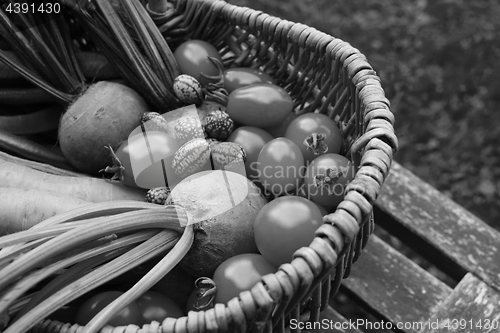Image of Beetroot, tomatoes, cucamelons and carrots in a wicker basket