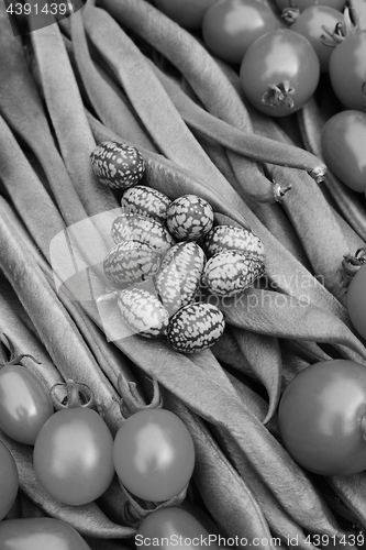 Image of Cucamelons and tomatoes on runner beans