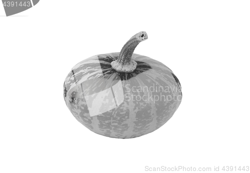 Image of Small disc-shaped ornamental gourd 