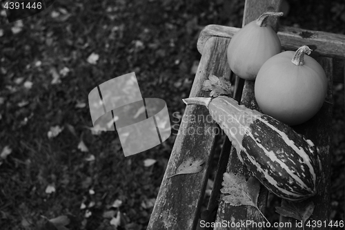 Image of Striped gourd and two smooth ornamental gourds 