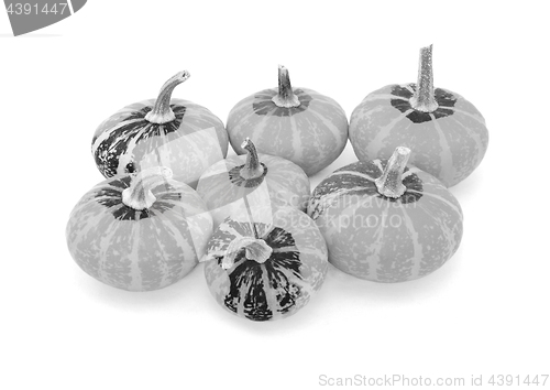 Image of Group of seven small disc-shaped ornamental gourds