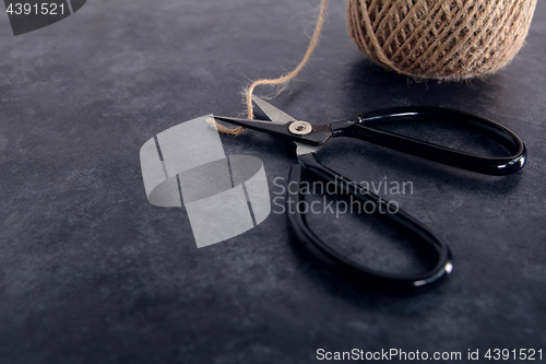 Image of Old-fashioned scissors cutting piece of garden twine