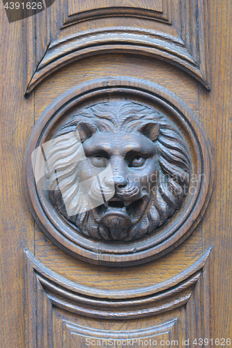 Image of Lion head