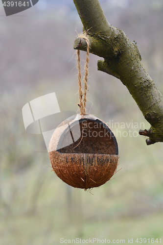 Image of Bird feeder