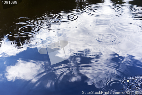 Image of Rain, pond and summertime