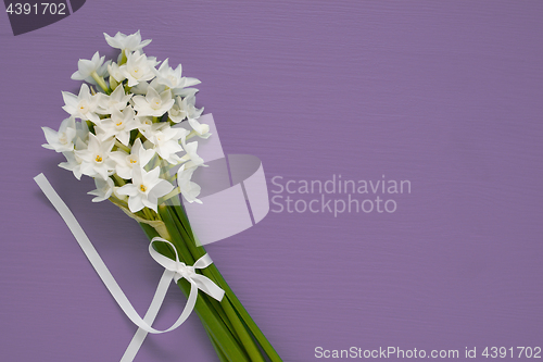 Image of White narcissus blooms tied with ribbon on purple background