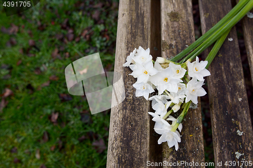 Image of White narcissi on a weathered wooden garden bench