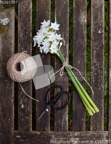 Image of Narcissi tied with twine, with garden string and scissors