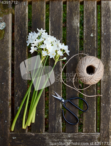 Image of Narcissi stems on wooden bench with twine and scissors