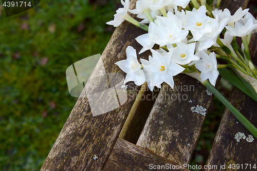 Image of White narcissi flowers on a wooden garden seat