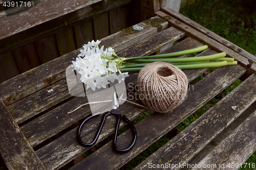 Image of Flower scissors cutting twine, next to a bunch of narcissi