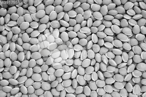 Image of Bitter neavy beans background