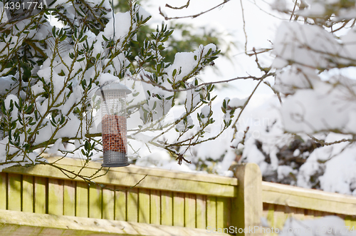 Image of Bird feeder filled with peanuts hangs in snowy garden