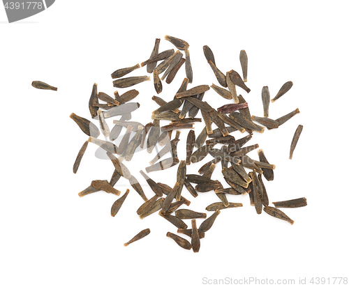 Image of Dahlia flower seeds
