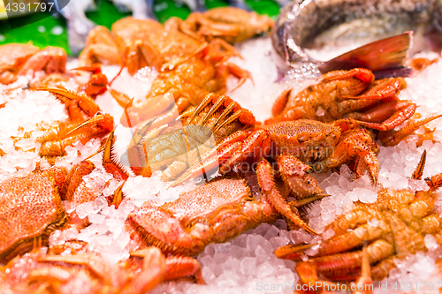 Image of Crab in iced at wet market