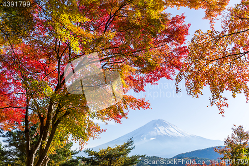 Image of Fuji in autumn