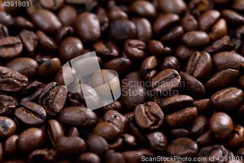 Image of Roasted coffee bean texture