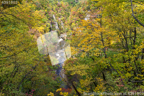 Image of Naruko canyon in autumn forest