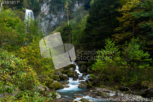 Image of Waterfall in rainforest